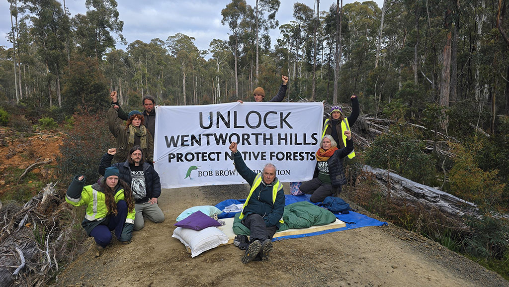 Environment Bill Leaves Native Forests Unprotected 3 Environment Bill Leaves Native Forests Unprotected 3