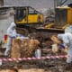 Logging in Ancient Forest Declared Climate Crime Scene 7