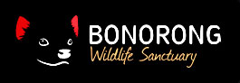 Habitat Loss Spurs Bonorong's $3M Expansion for Wildlife 4 Habitat Loss Spurs Bonorong's $3M Expansion for Wildlife 4