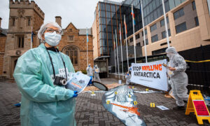 Antarctica Talks Collapse - Krill Fishing Goes Unchecked 5