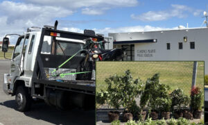Police Drone Tracks Hooning Trail Bike, Seizes Drugs 11