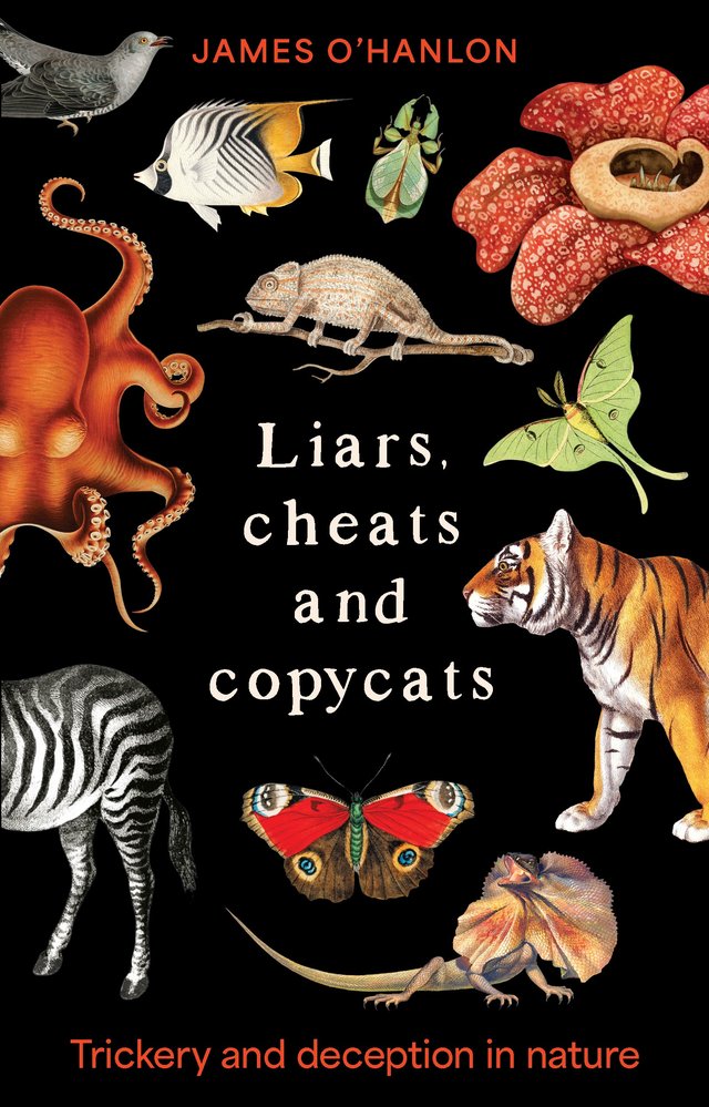 Review - Liars, Cheats and Copycats, by James O'Hanlon 5 Review - Liars, Cheats and Copycats, by James O'Hanlon 5