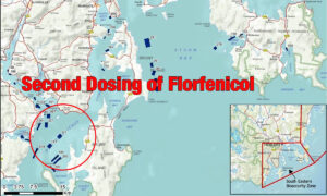 Second Florfenicol Dump Decimates Christmas Fishing 41