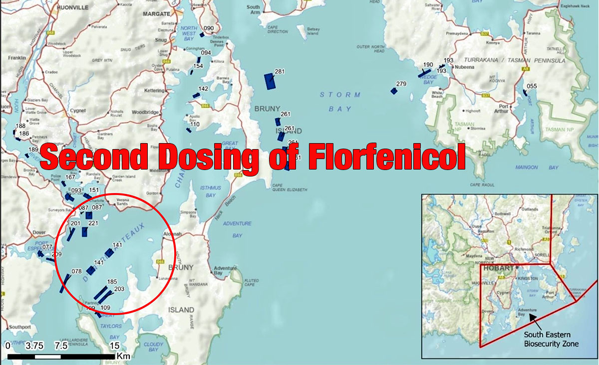 Second Florfenicol Dump Decimates Christmas Fishing 5