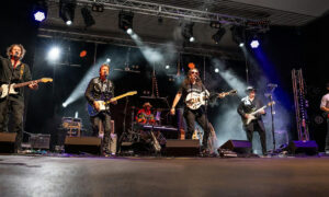 Sounds of Seventies Revival 2