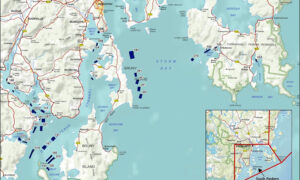 Pig Antibiotic Deployed, Christmas Fishing Season Under Threat 4