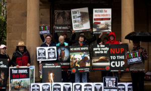 Nup to the Cup Protest 3