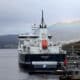 Emergency Antibiotic Threatens Salmon Export Markets 2