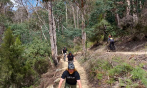 Pipeline Track Opens Gateway to Kunanyi/Mt Wellington 1