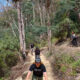 Pipeline Track Opens Gateway to Kunanyi/Mt Wellington 2