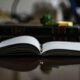 Child Safety Reforms Face Scrutiny in Woolcott Review 2