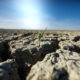Climate Change Bringing Droughts Even to Wet Tasmania 9