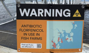 BBF Installs Antibiotic Warning Signs At Boat Ramps 14