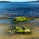 The Green Warning At Drip Beach on Cygnet Coast Road 11
