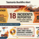 Firefighters Gain Ground As Dangerous Winds Subside 4