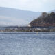 Regulators Evade Questions Over Salmon Farm Antibiotics 6