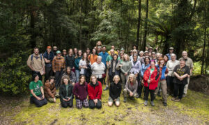 Citizen Science Reveals Takayna's World Heritage Value 6