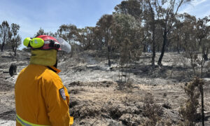 Bushfire Recovery & Emergency Assistance Grants 9