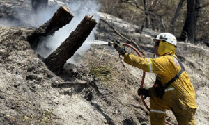 Bushfire Watch And Act Issued For Stieglitz Surrounds 6