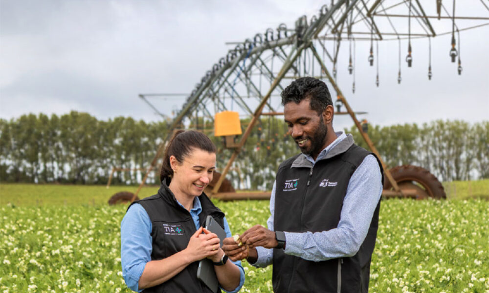New Strategic Plan To Boost Agriculture To $10 Billion - Tasmanian Times