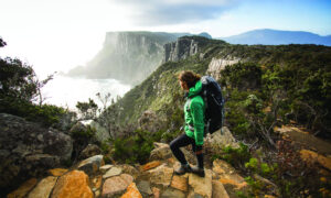 Three Capes Track to Close for Planned Burns & Annual Maintenance 6