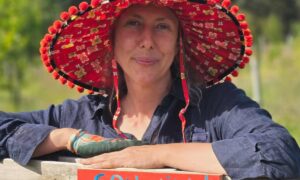 Cultural Emergence / Social Permaculture Workshop 11