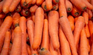 Tasmania’s Produce on Display to the World  8