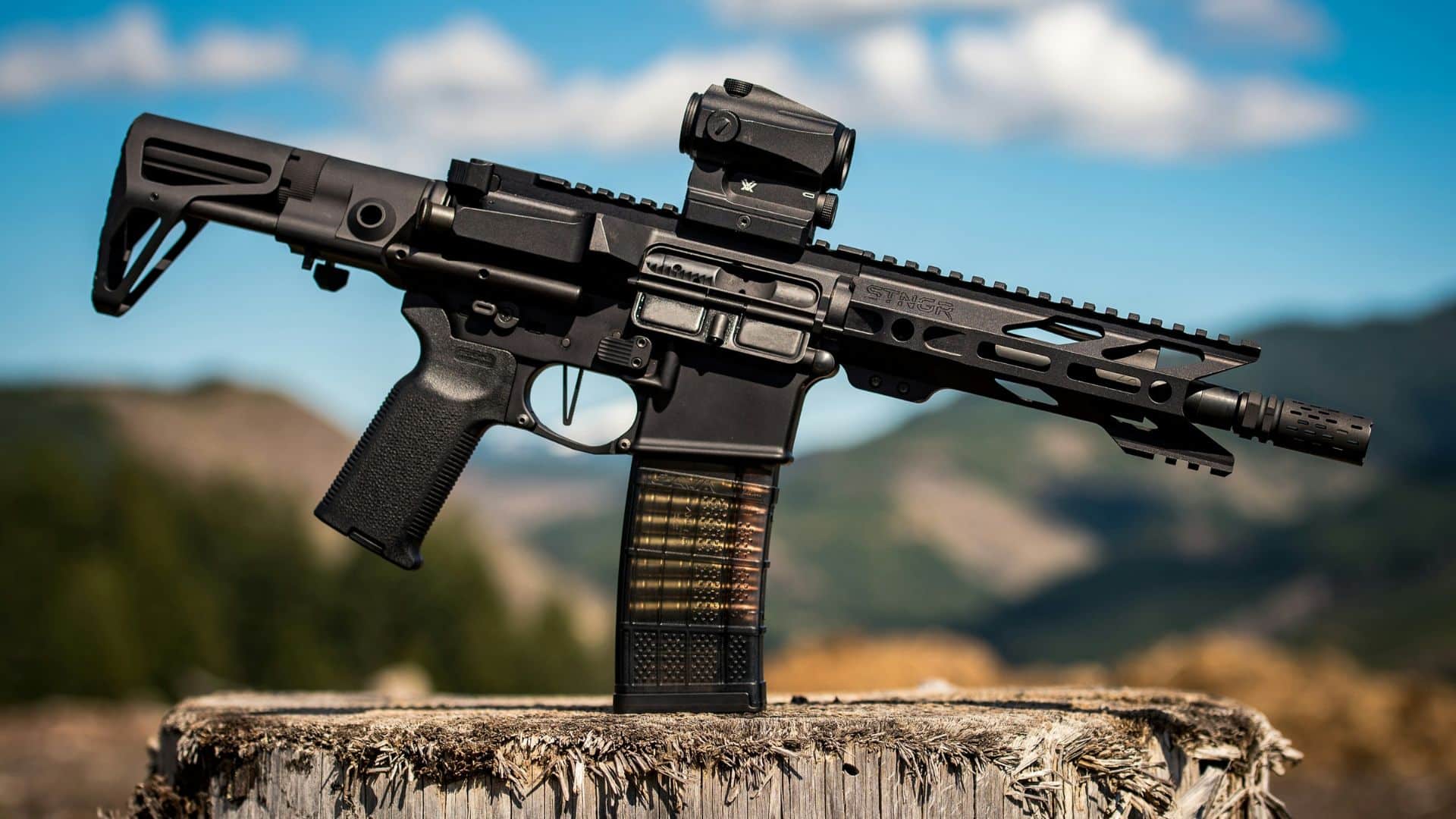 Proposed New Gun Law Changes 1