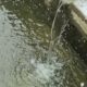 2026 Water and Sewerage Price Investigation Draft Report 10