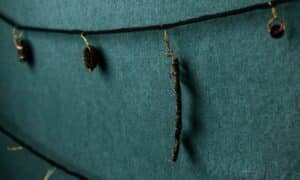 New Program Offers Tasmanian Artists 18 Months of Paid Work 4