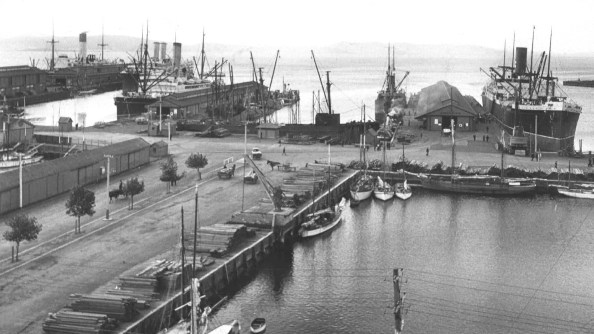 Tas That Was – Constitution Dock 1