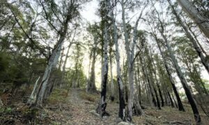 A Micro-Hike Through Deep Time 8