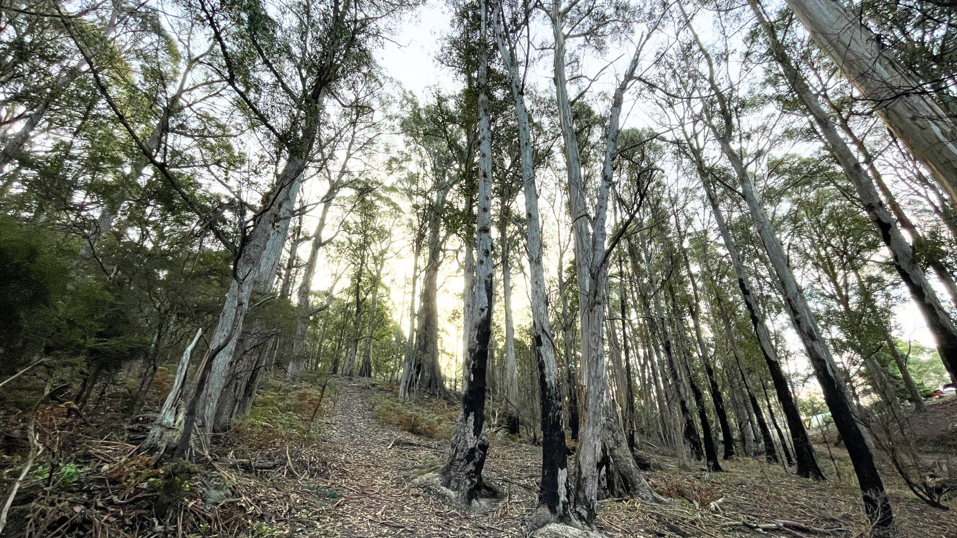 A Micro-Hike Through Deep Time 1
