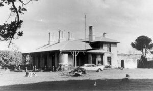 Tas That Was – Highfield 1