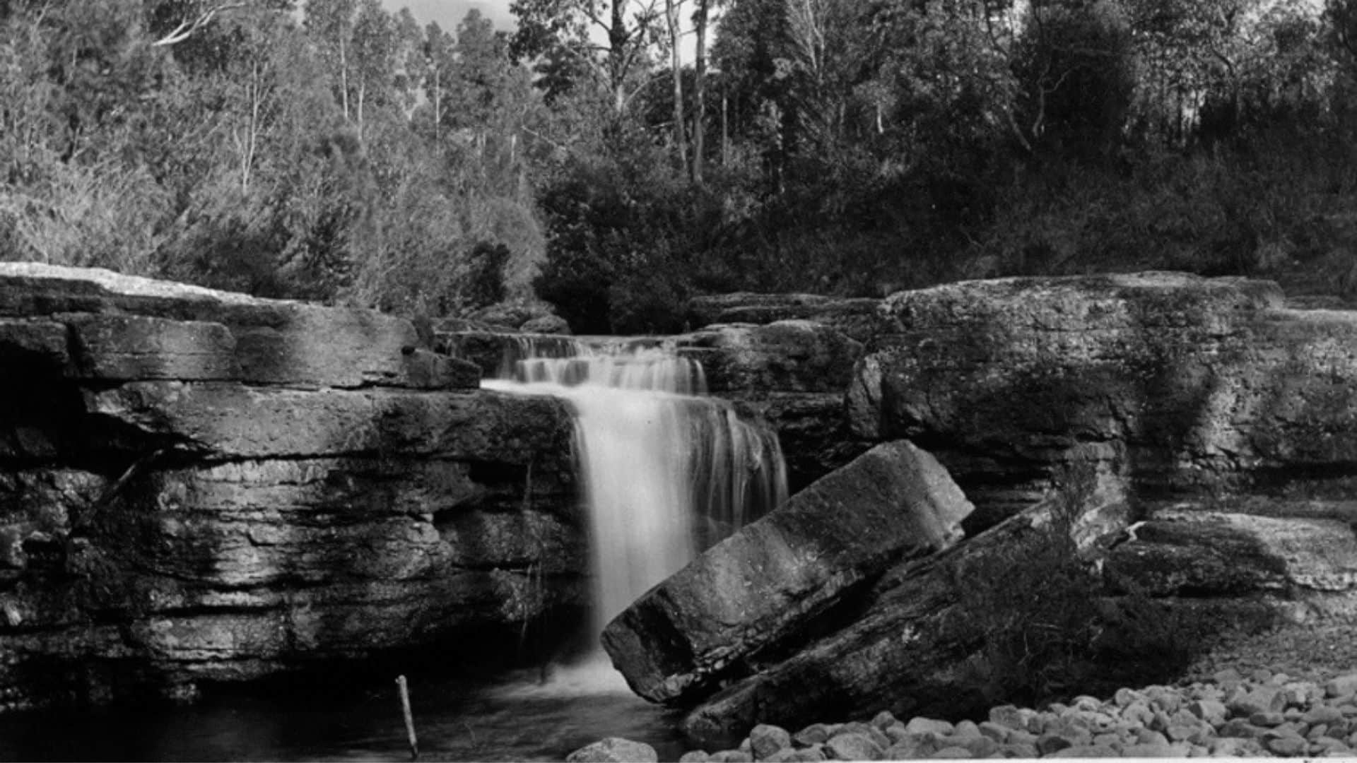 Tas That Was – Humphreys Rivulet 1