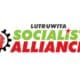Lutruwita Socialist Alliance Endorses Candidates for Local Tassie Elections 4