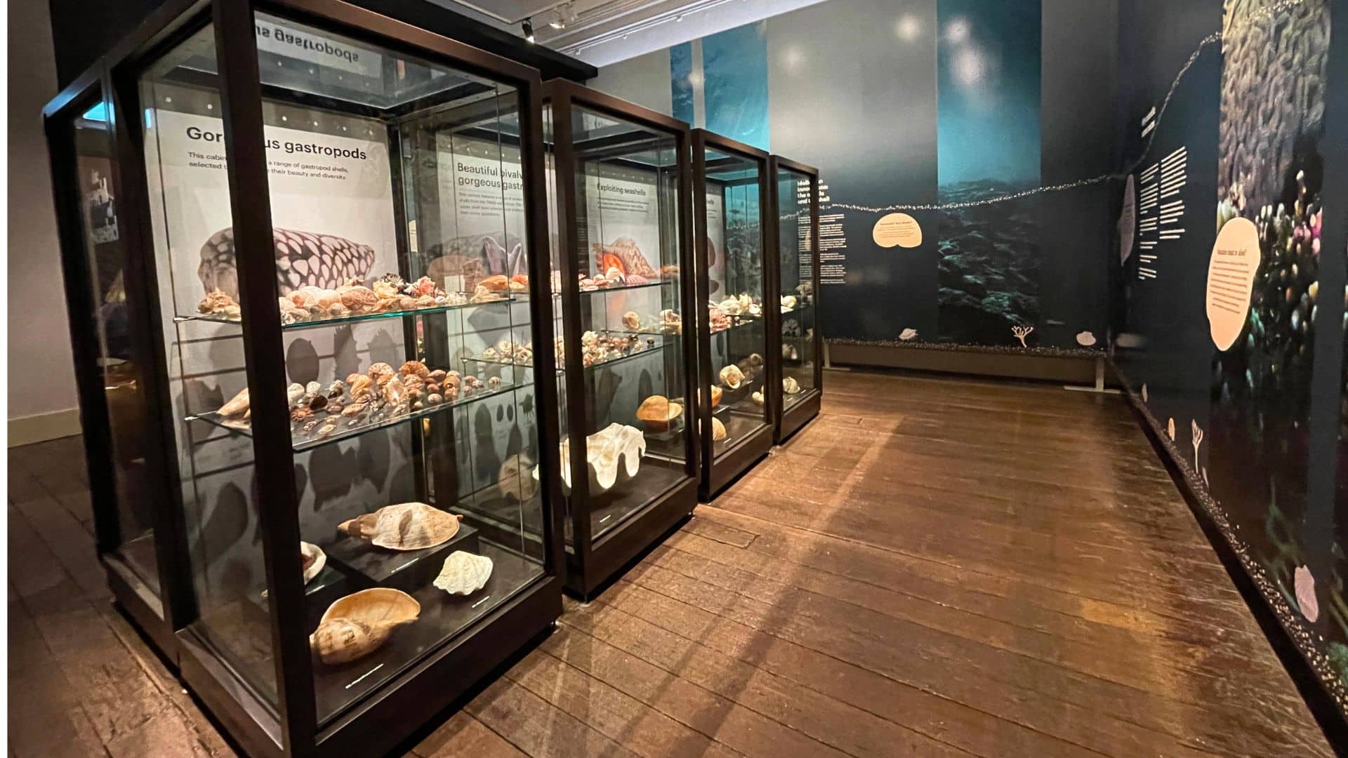 Art, Land & Sea – TMAG’s New Exhibitions 3 Art, Land & Sea – TMAG’s New Exhibitions 3