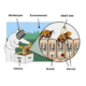 Varroa Strategy Underfunded as Risks Mount 9