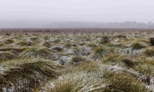 Winter bushwalkers urged to plan ahead and stay safe 8