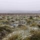 Winter bushwalkers urged to plan ahead and stay safe 9