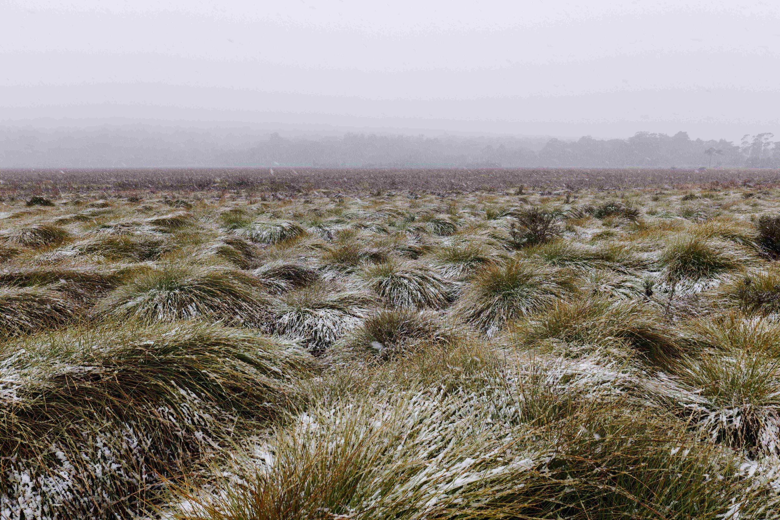 Winter bushwalkers urged to plan ahead and stay safe 1