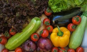 Homegrown Veggies Targeted 9
